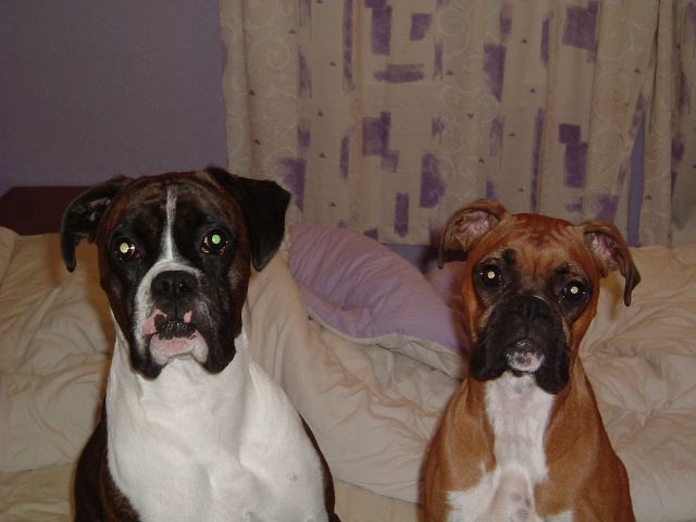 Kaci with her Boyfriend