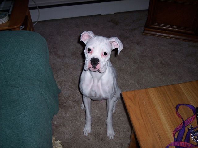 kadiesit