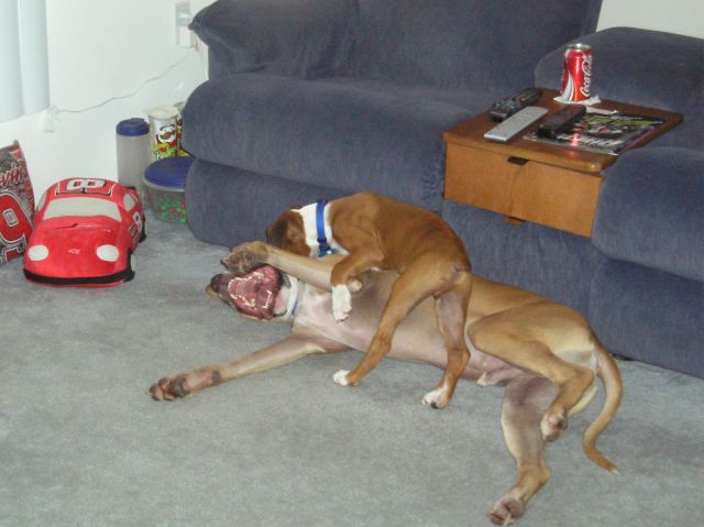 Kahne and Brady