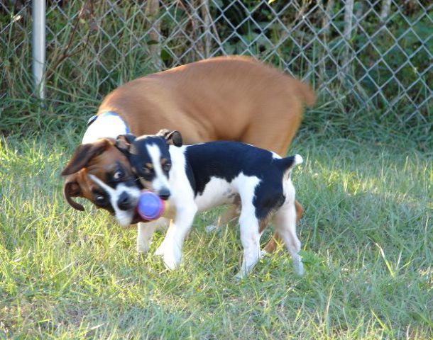 Kahne and Cowboy
