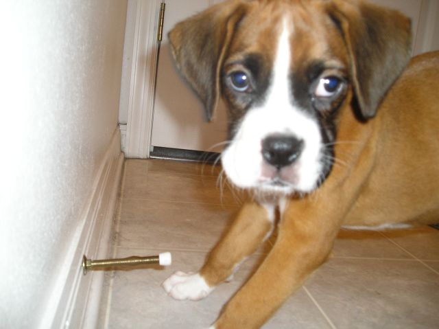 Kahne