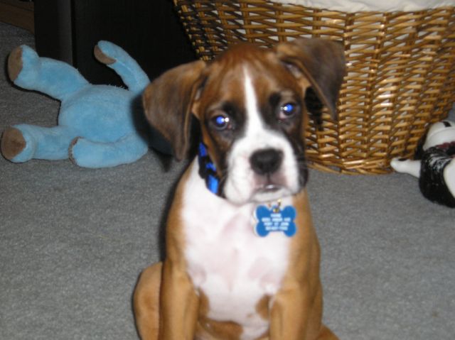 Kahne