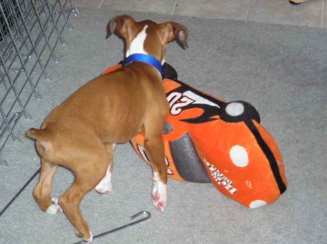 Kahne