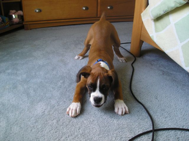 Kahne