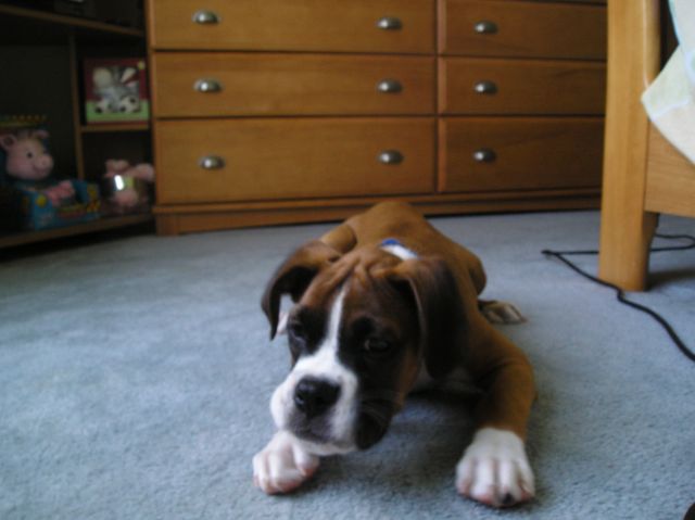 Kahne