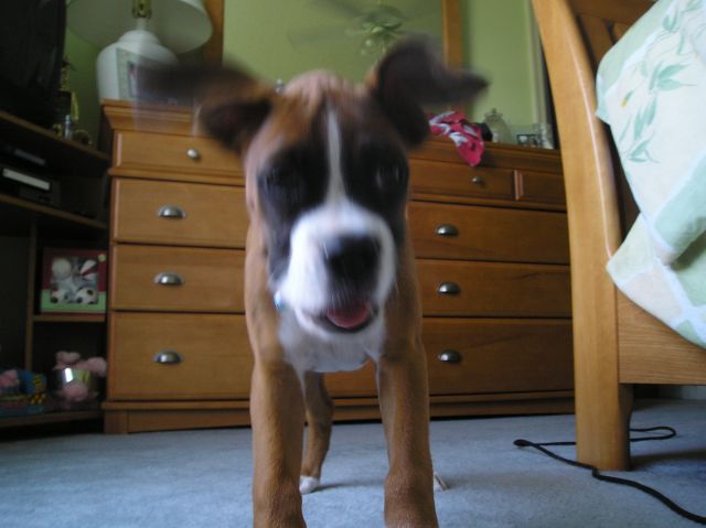 Kahne