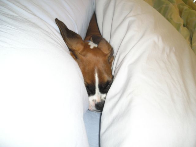 Kahne
