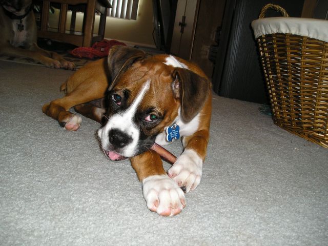 Kahne