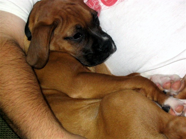 Kai at 10 weeks