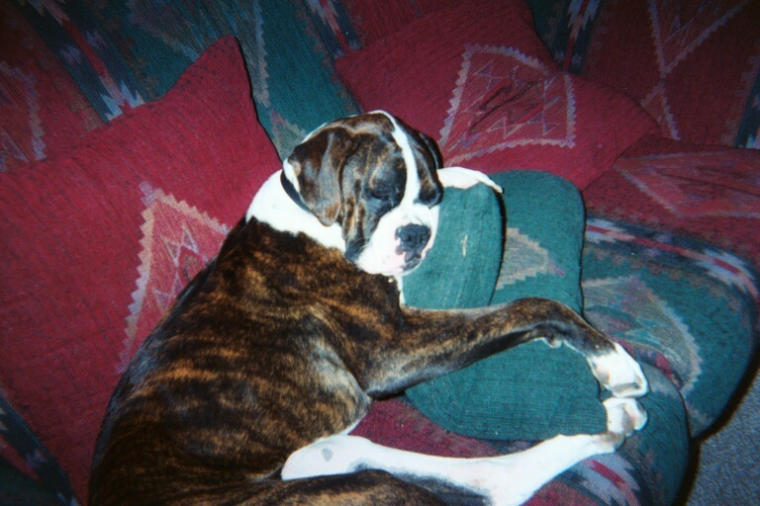 Kaia sleeping