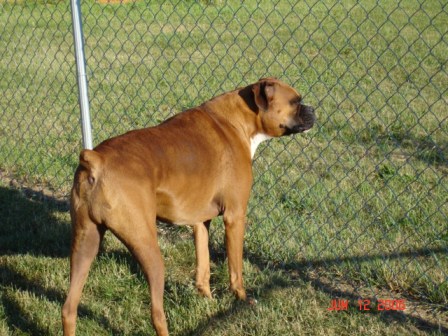 Kaine Checking Things Out!