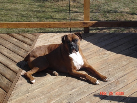 Kaine Is Sunbathing!