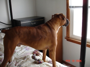 Kaine Keeping Guard!
