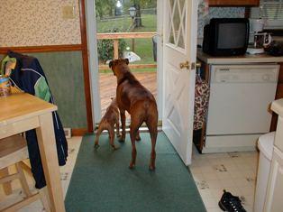 Kaine & Zoey Checking Things Out