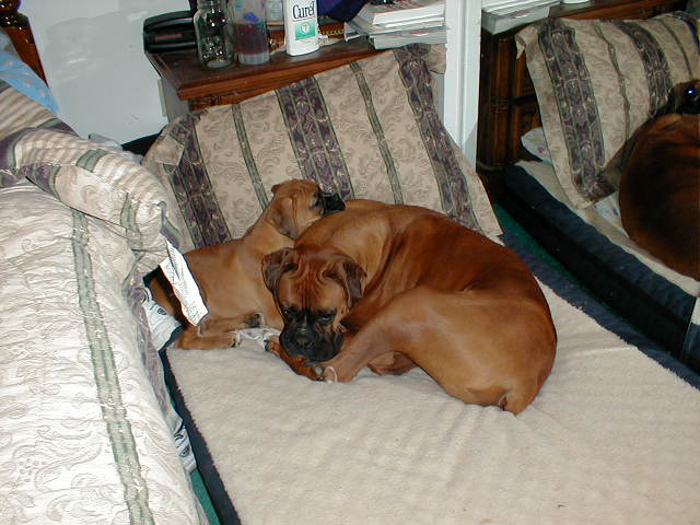 Kaine & Zoey