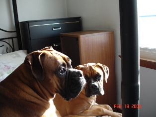 Kaine & Zoey