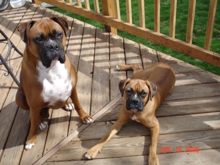 Kaine & Zoey