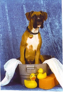 Kaine's Modeling Career Part 1!