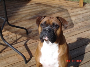 Kaine's Outdoor Shot