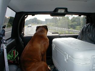 Kaine's Road Trip