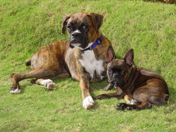 Kairi & Buster