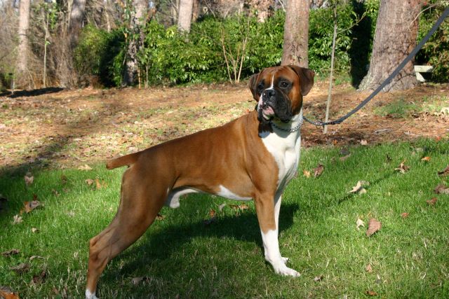 Kaiser at 14 mos.