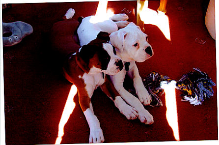 Kaiser & Brother Lennox