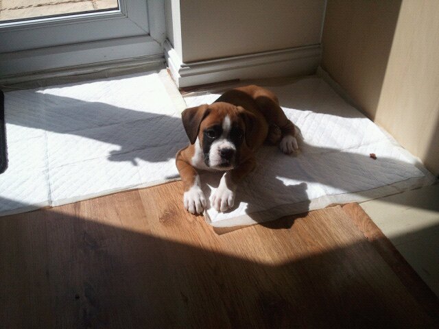 Kaiser Chilling