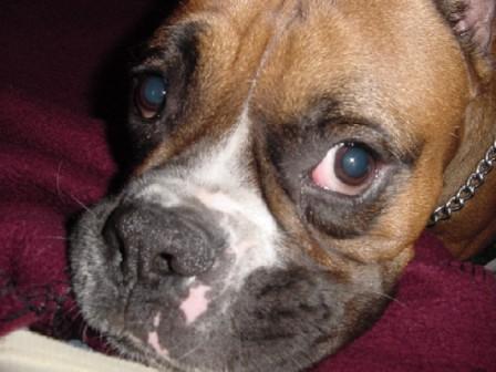 Kaiser Close Up