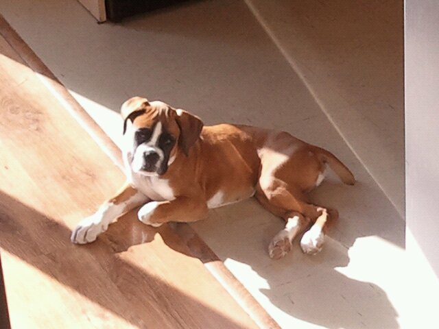 Kaiser is getting sooooo big