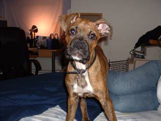 Kaiser - What You Lookin At?