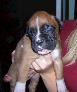 Kalel at 3 and a half weeks!