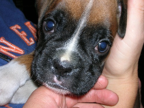 Kalel close-up at 5 weeks