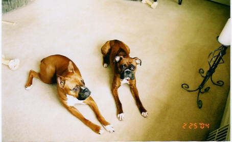 Kali and Gia being Good Girls