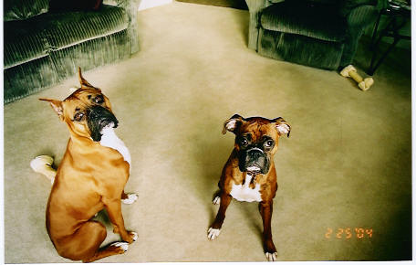 Kali and Gia sitting pretty