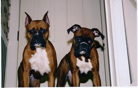 Kali and Gia