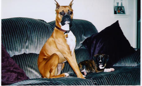 Kali and Piper