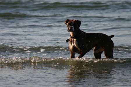 Kali in the Water
