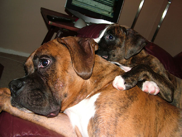 Kali & Shiva
