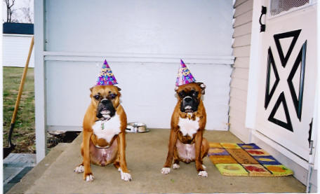 Kali turns the BIG 2