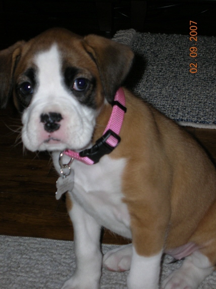 Kallie10weeks