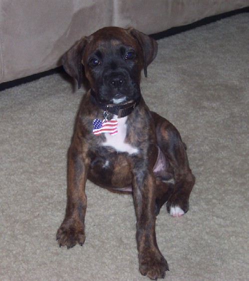 Kane at 2 months