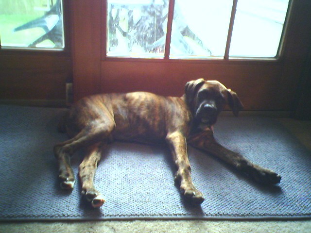 Kane new house