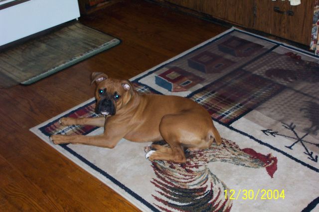 kanin_posing_for_the_pic