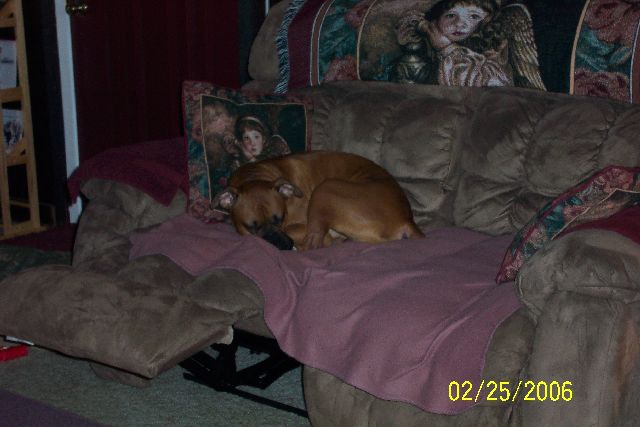 kaninonloveseat