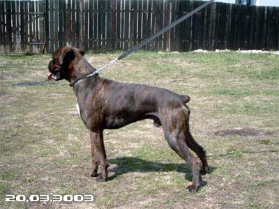 Kann 10 mo