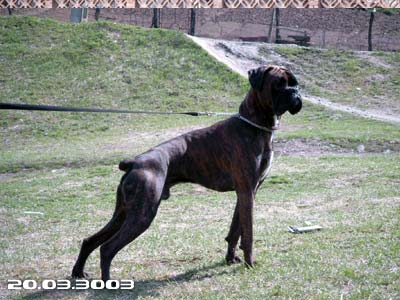 Kann 10 mo