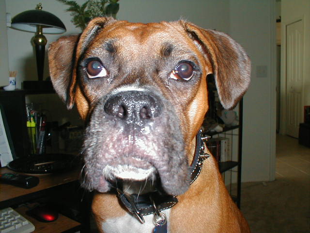 Karma (10/21/2004)