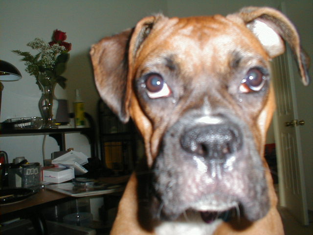 Karma (10/21/2004)
