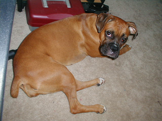 Karma (10/21/2004)